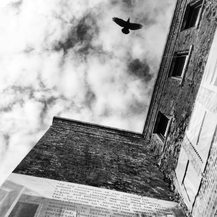 Raven flying over St. Michael's Residential School.